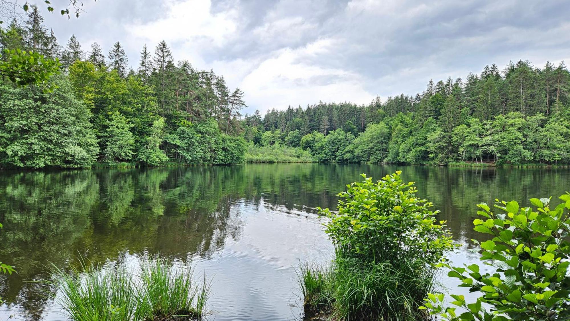 "Casa Antonio" 3 Gehminuten Strandbad Sekirn, Inkl Seezugang Luaran gambar