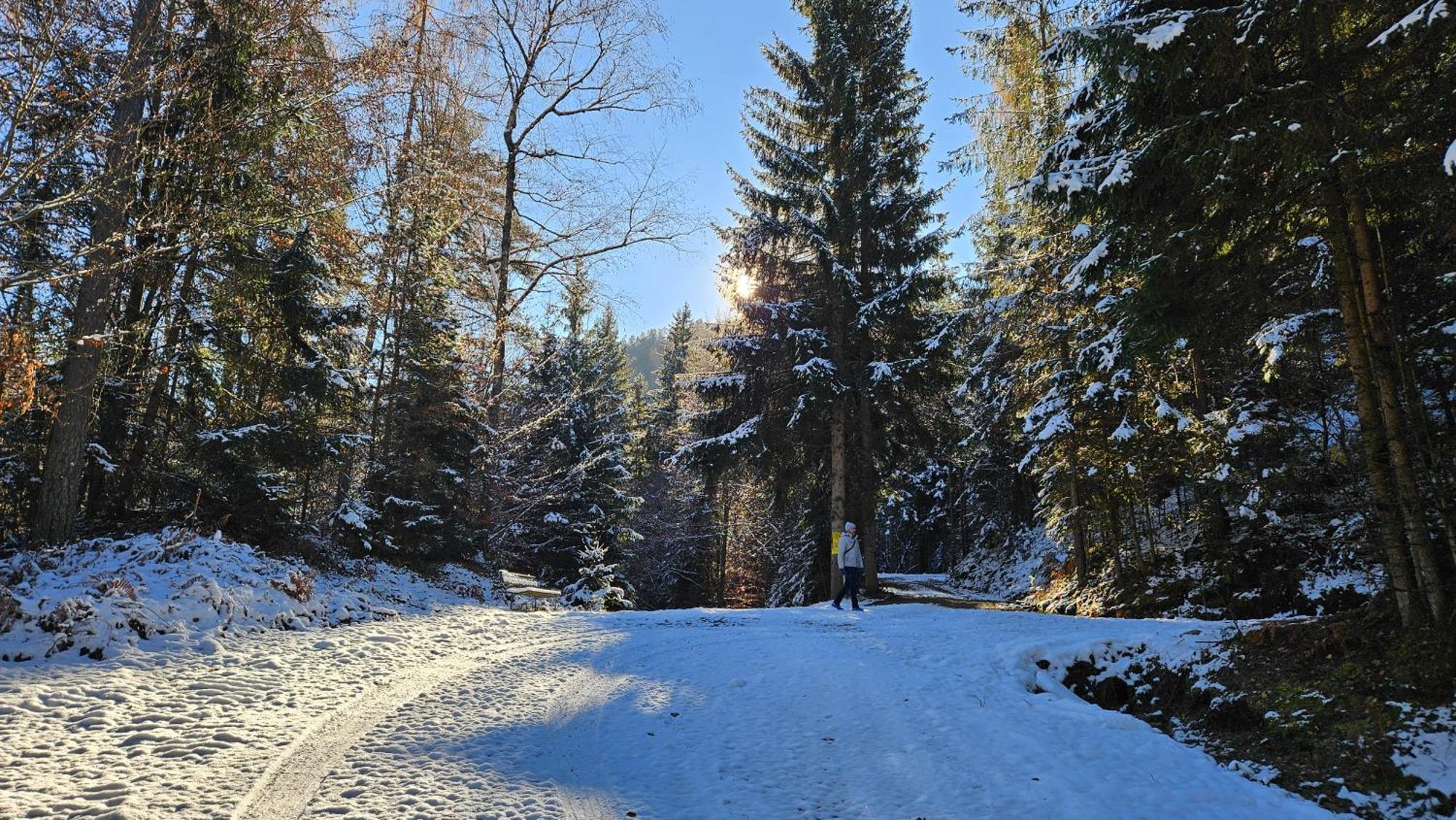 "Casa Antonio" 3 Gehminuten Strandbad Sekirn, Inkl Seezugang Luaran gambar