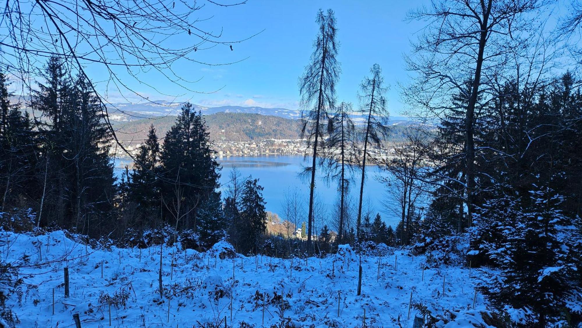 "Casa Antonio" 3 Gehminuten Strandbad Sekirn, Inkl Seezugang Luaran gambar
